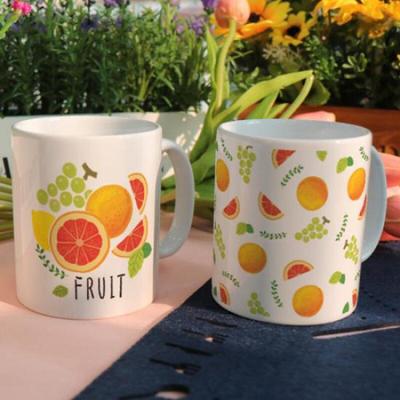 dc370-Design Mug 2p-Citrus Fruit