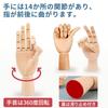 dodtazz Wooden Mannequin Hand Set Right Articulated Art Doll Right Hand Left (3 pieces) Hand, Joints, (Mannequin + + Hand)