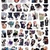 50-100 Black & White Jujutsu Kaisen Anime Stickers for Phone Cases & Water Bottles