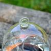 Hydroponics Hanging Mini Fish Tank With Stand Vase Fish Tank Transparent Glass