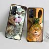 Haustier Katze Lustige Memes Handyhülle Für Redmi 13C 14C Note 13 14 Pro 5G Plus 12 12C 10 10A 10C 9 9A 9C 9T 8 8A K70 Pro Xiaomi Hülle S