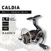 DAIWA 21 Caldia LT2500