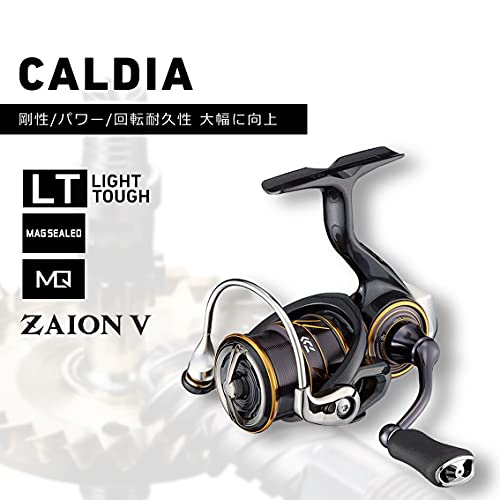 DAIWA 21 Caldia LT2500