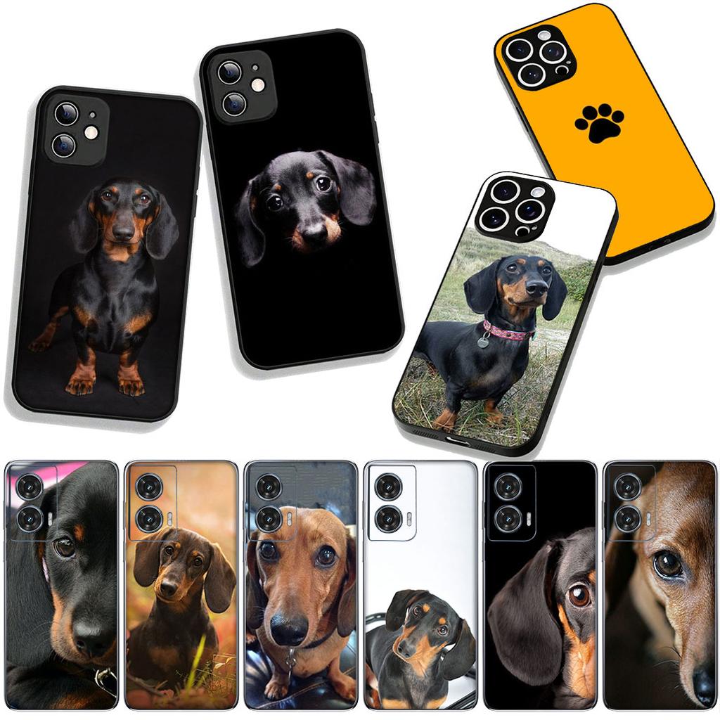 Handyhülle Haustier Hund Niedlicher Dackel Hülle für OPPO A54 A40 A60 A80 A18 A16 A17 A38 A78 A79 A57 A55 A96 A15 A12 Case