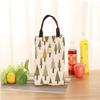 Lightweight Lunch Box Women Girl Cooler Carryall Lunch Carryall Insulation Package Insulated Thermal Food Picnic Carryalls Pouch for Kids Children