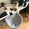 Soft Plush Desk-Mounted Cat Hammock Bed Adjustable Clamp-On Kitten Sleeping Nest Cozy Cat Perch for Workstation & Gaming Desk