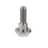 Ruifu Titanium M6x20 25mm Motorcycle Disc Brake Rotor Bolts for Suzuki GSXR Yamaha R1