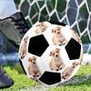 Adorable Puppy Down. Customizable photos Size 5 Soccer football Machine-Stitched Indoor/Outdoor Training and Matches