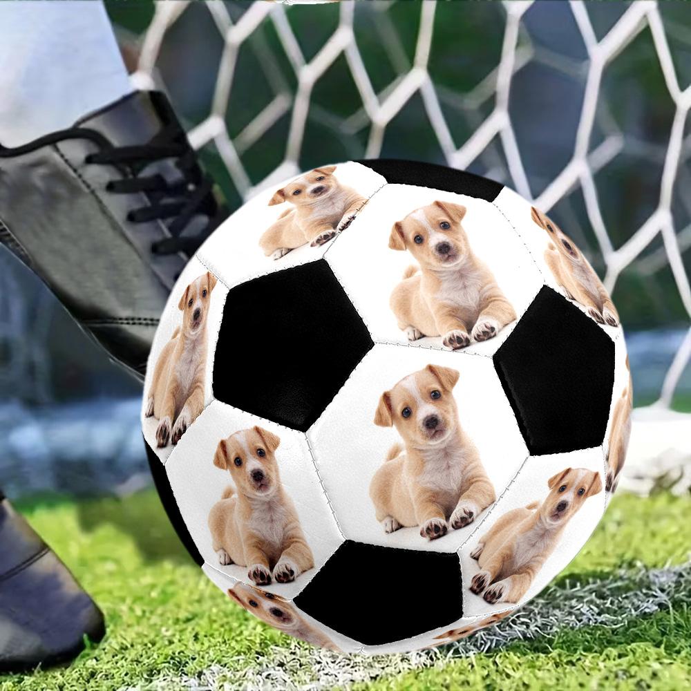 Adorable Puppy Down. Customizable photos Size 5 Soccer football Machine-Stitched Indoor/Outdoor Training and Matches