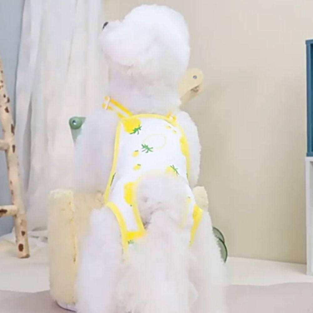 Unterwäsche Haustier Physiologische Hose Windel Katze Shorts Welpenbedarf Hündinnenwindeln Für Hund/Katze