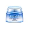 Snow Region Repair Moisturizing Cream