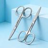 Stainless Steel Nose, Eyebrow, and Beauty Scissors with Round, Bent, and Pointed Heads - Model 2.0A