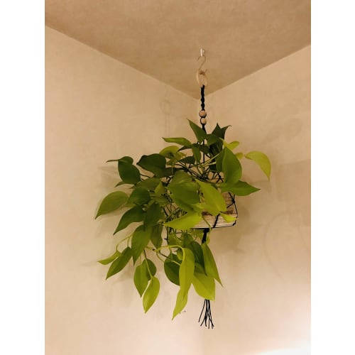 Nikkei Sangyo Magic Cloth 8 J Hook, Semi-Triangle, White, MJ-020W, 1cm Deep X 2cm High X 1.7cm Wide, Includes 2 Caps, 2 Mounting Pieces, and 9 Spare N