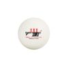 DHS Sai Ding Series Ping Pong Balls