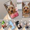 Yorkshire Terrier Dog Soft TPU Phone Case For Samsung Galaxy Note 10 Pro S26 S25 S24 S23 S22 Ultra Plus S21 FE S20 Cover