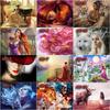 5D DIY Diamant Malerei Tier und Frauen Runde Diamant Mosaik Landschaft Diamant Stickerei Kreuzstich Home Home Decor