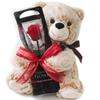Preserved Bear and a Single Flower Flower Flower Flowers, Rose, Red, Gift, Celebration, Anniversary, Birthday, Arrangement, Gift, Arrangement,