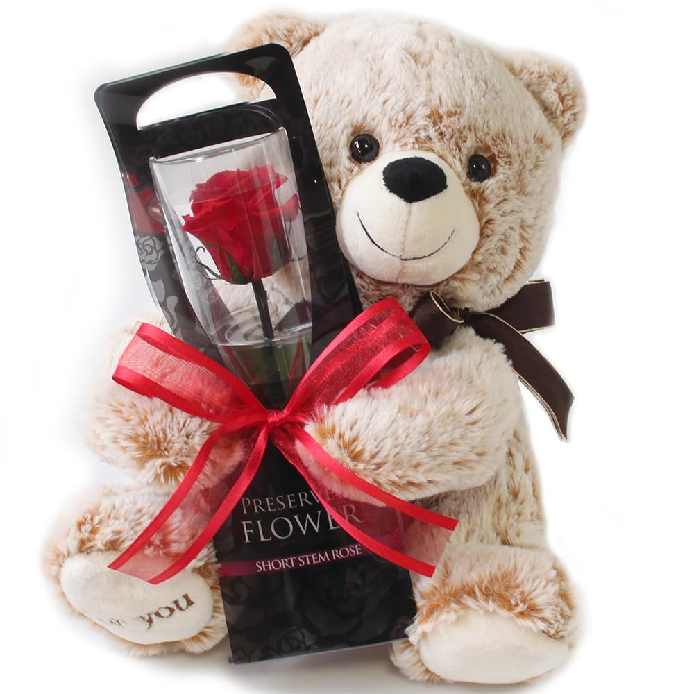 

Preserved bear and a single flower flower flower flowers, rose, red, gift, celebration, anniversary, birthday, arrangement, gift, arrangement,