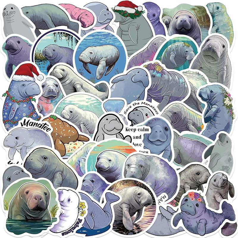 Cute Anime Turtle Waterproof Stickers for Kids Boys Girls, 50Pcs Kawaii Sea Turtle Vinyl Stickers Pack for Water Bottle,Laptop, Scrapbook,