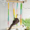 Chew-Proof Sugar Glider Climbing Toys Wobble-Free Colorful Chains Mice Rope Swing Stand Interactive Wear Resistant