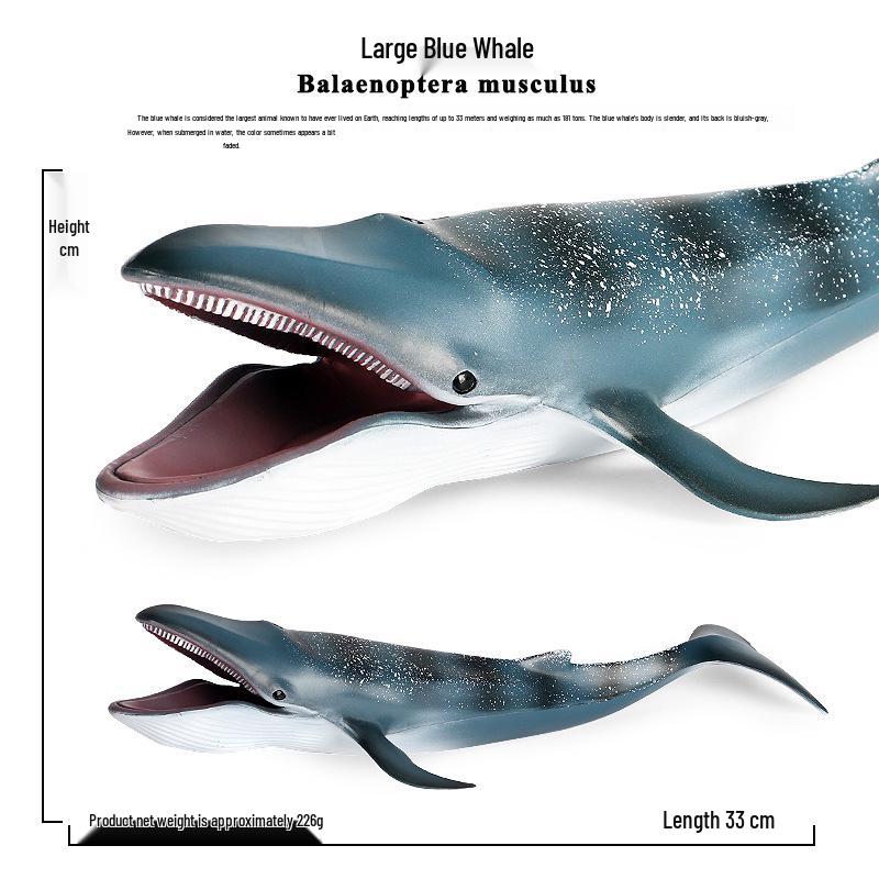 Children’s Marine Life Science Model: Blue Whale, Shark Toy Set
