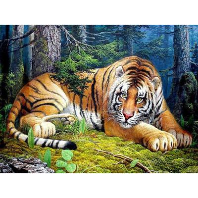 5D diamantový obraz Tiger plný kulatý kamínkový obrázek DIY výšivka křížovým stehem