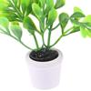 1:12 Doll House Mini Potted Small Green Plant Decoration Ornaments