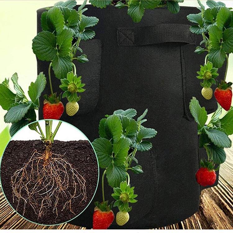 Strawberry Planting Bag - Thick, Non-Woven Fabric for Indoor & Outdoor Cultivation