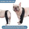 Hunde Kniebandage Hunde Beinbandage für gerissenes ACL Hinterbein Hunde Hüftstützbandage, Verstellbare Hinterbeinbandagen für Hunde, Haustier Kniebandage