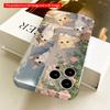 2DFlat Cute Kittens on Garden Steps Phone Case All inclusive film hard iPhone case, compatible with iPhone 18 Pro Max 17 16 15 14 13 12 11