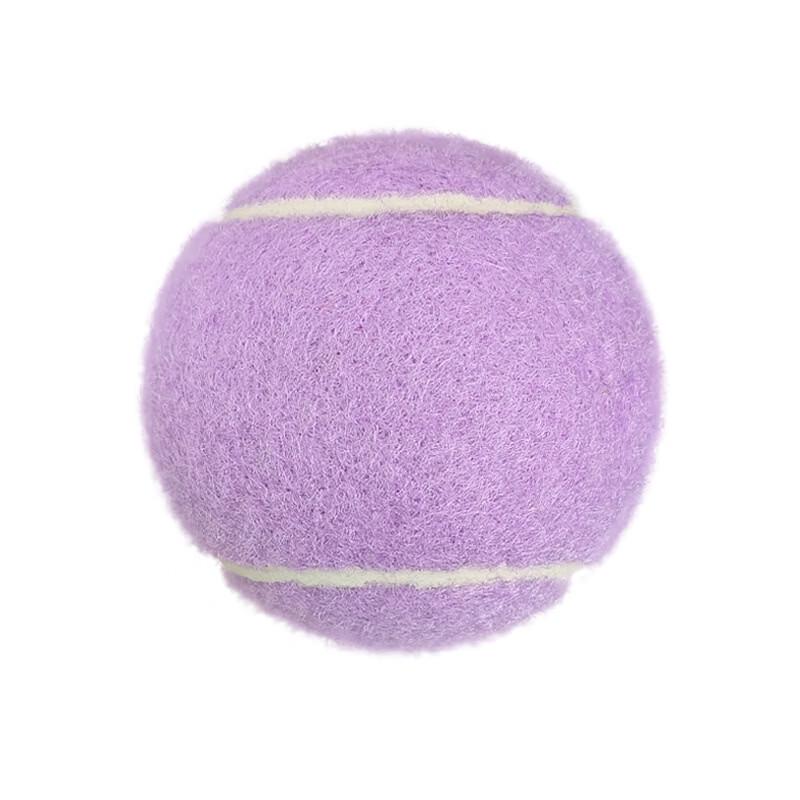 LISM Professional Training Colored Tennis Balls
