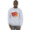 DC Comics Mens Shazam Fury Of The Gods Sticker Spam Sweatshirt