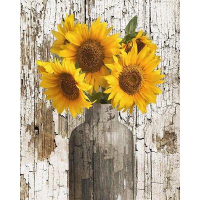 DIY Paint By Numbers Oil Painting Kit Canvas DIY Oil Painting By Numbers Wall Art Decorations for Home Decor