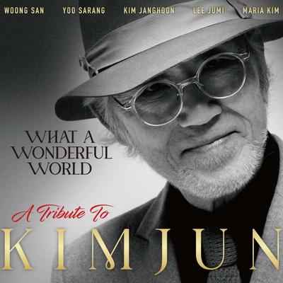 Ήχος και βίντεο – Μουσικά άλμπουμ