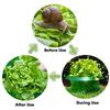5/10pcs Plants Snail Protection Rings Vegetable Green Planter Flower Pot Pest Control Trapper Repel Snails Garden Protects Tools