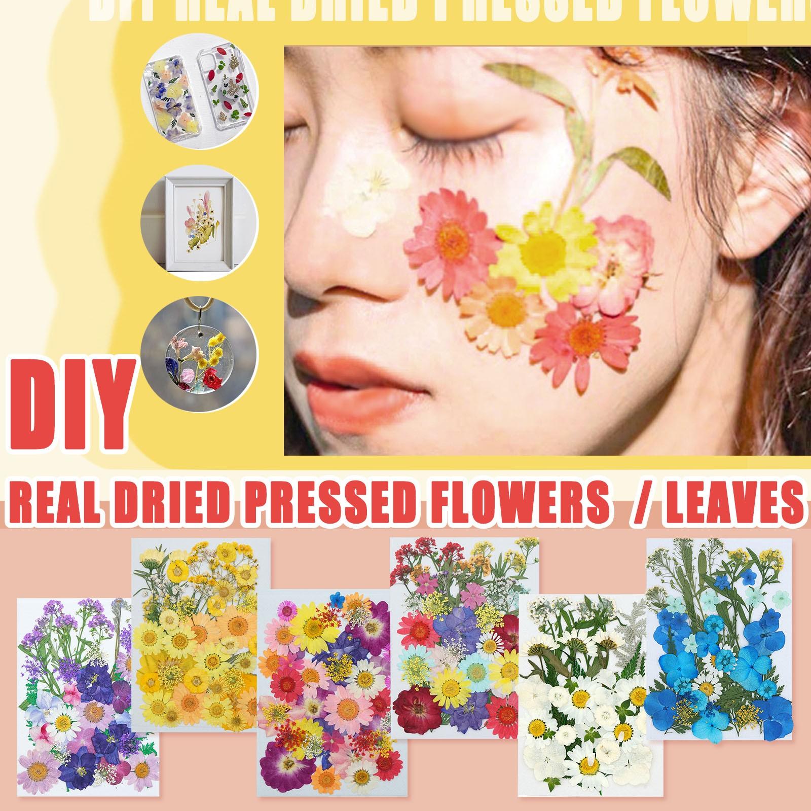 

Real Dried Presse Flowers Leaves Natural Set with Butterfly Stickers