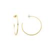 Luxenter and 18k Gold Plated Earrings - Adron