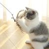 Simulation Bird Interactive Cat Toy Funny Feather Bird with Bell Cat Stick Toy for Kitten Playing Toy Cat Supplies Cat