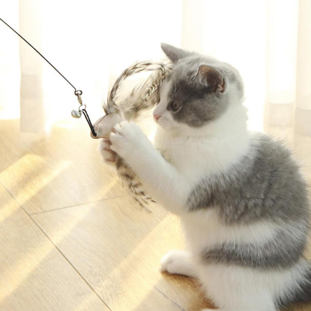 Simulation Bird Interactive Cat Toy Funny Feather Bird with Bell Cat Stick Toy for Kitten Playing Toy Cat Supplies Cat