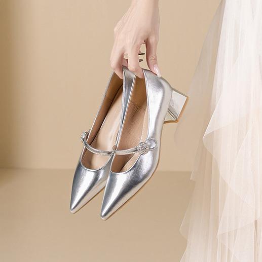 Silver Mary Jane Single Shoes Spring and Summer 2025 New Pointed Low Thick Heel Women's High-end Sense One-word Shoes