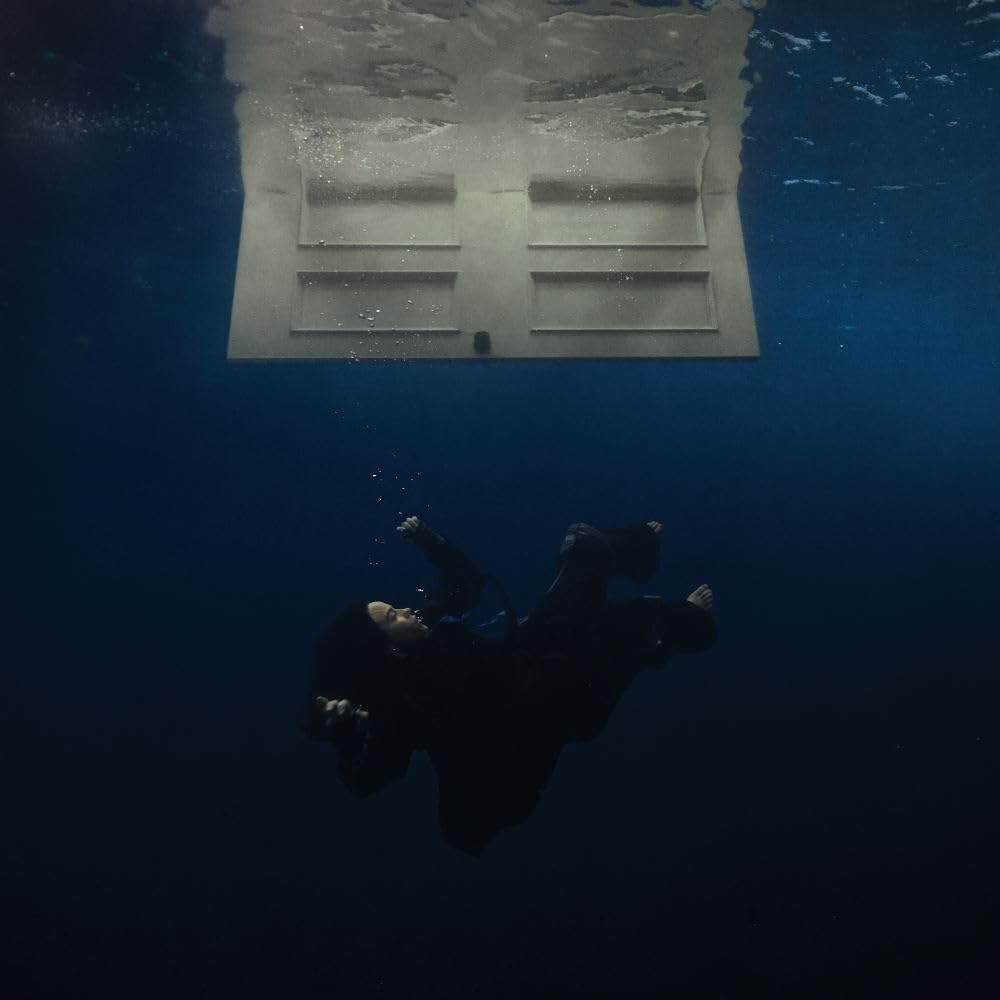 Hit Me Hard and Soft (Japanese Anniversary Edition) (Limited Edition)