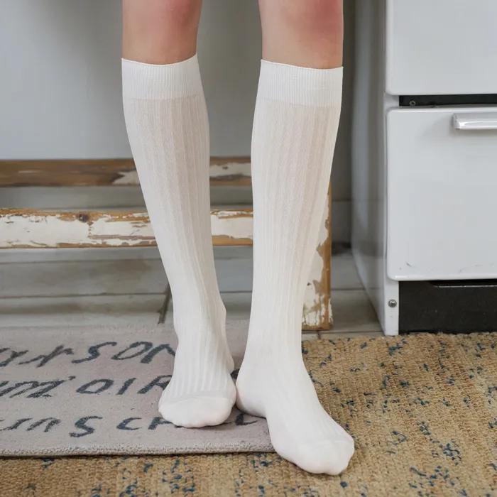 [BIARRITZ/26SS] Cashew Nut Silket Cotton Ribbed Knee Socks 6 Colors