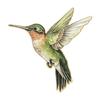 4 Pezzi Spilla Multifunzione in Metallo a Forma di Colibrì per Abiti Borse Cappelli Con Accessorio Colorato Vivace Gioielli da Donna