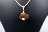 Natural 12 Mukhi Rudraksha 925 Siver Pendant – Nepali Origin | Bead for Leadership, Confidence, Solar Chakra & Success | Organic & Lab Certified