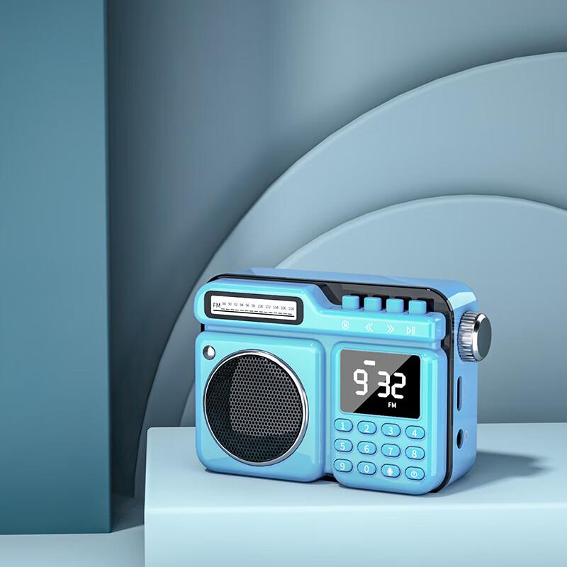 Newmine Retro Portable Bluetooth Speaker with FM Radio and Recorder