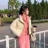 Winter Women's Clothes Cropped Jackets Parkas Warm Stand Collar Cold Coat Zipper Puffer Jacket Cotton-padded Jacket