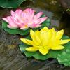 Artificial Lotus Leaf Water Lily for Pond, Fish Tank Decoration, Landscaping, or Buddha Ornaments