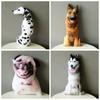 Husky Dog Pet Throw Pillow 3D Plush Animal Toys Realistic Printed Dog Plush  Party Supplies