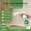 Wall Stain & Mold Remover: No-Rinse Cleaner for Wallpaper and Cloth