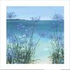 Claire Henley Summer View Of Gull Rock Print